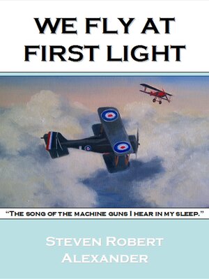 cover image of We Fly at First Light